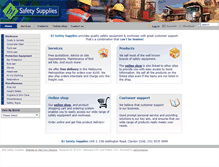 Tablet Screenshot of bjsafety.com